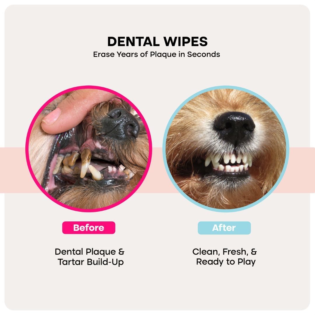 uprootpure Care Kit