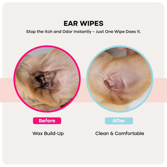 uprootpure Care Kit