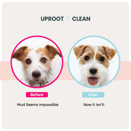 uprootpure QuickClean Gloves Pro