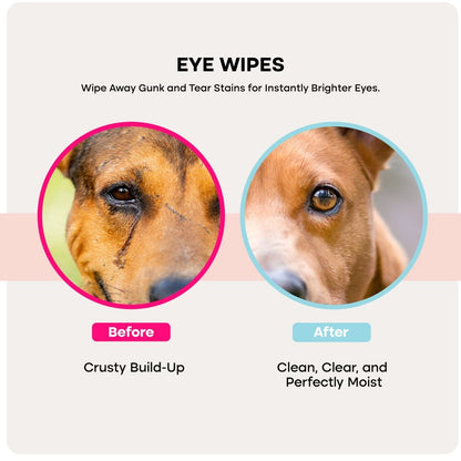 uprootpure Care Kit