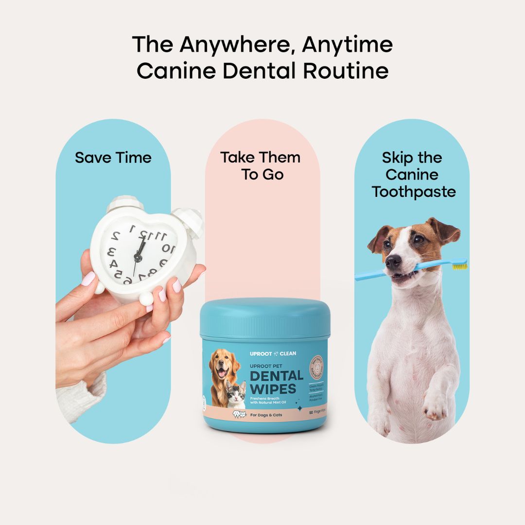 uprootpure Dental Wipes