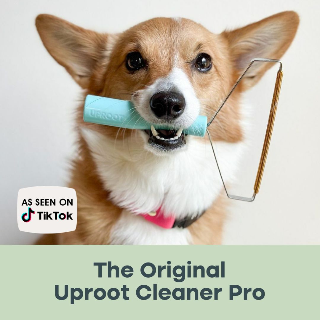 uprootpure Cleaner Pro