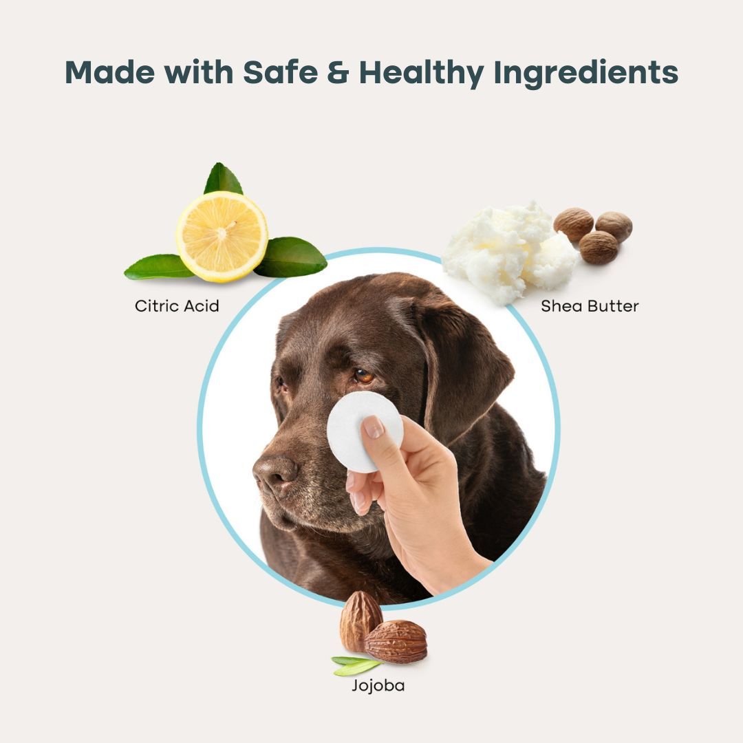 uprootpure Care Kit