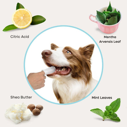 uprootpure Dental Wipes