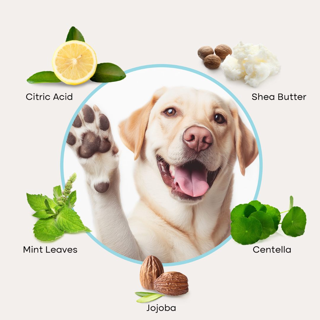 uprootpure Paw Cleaner
