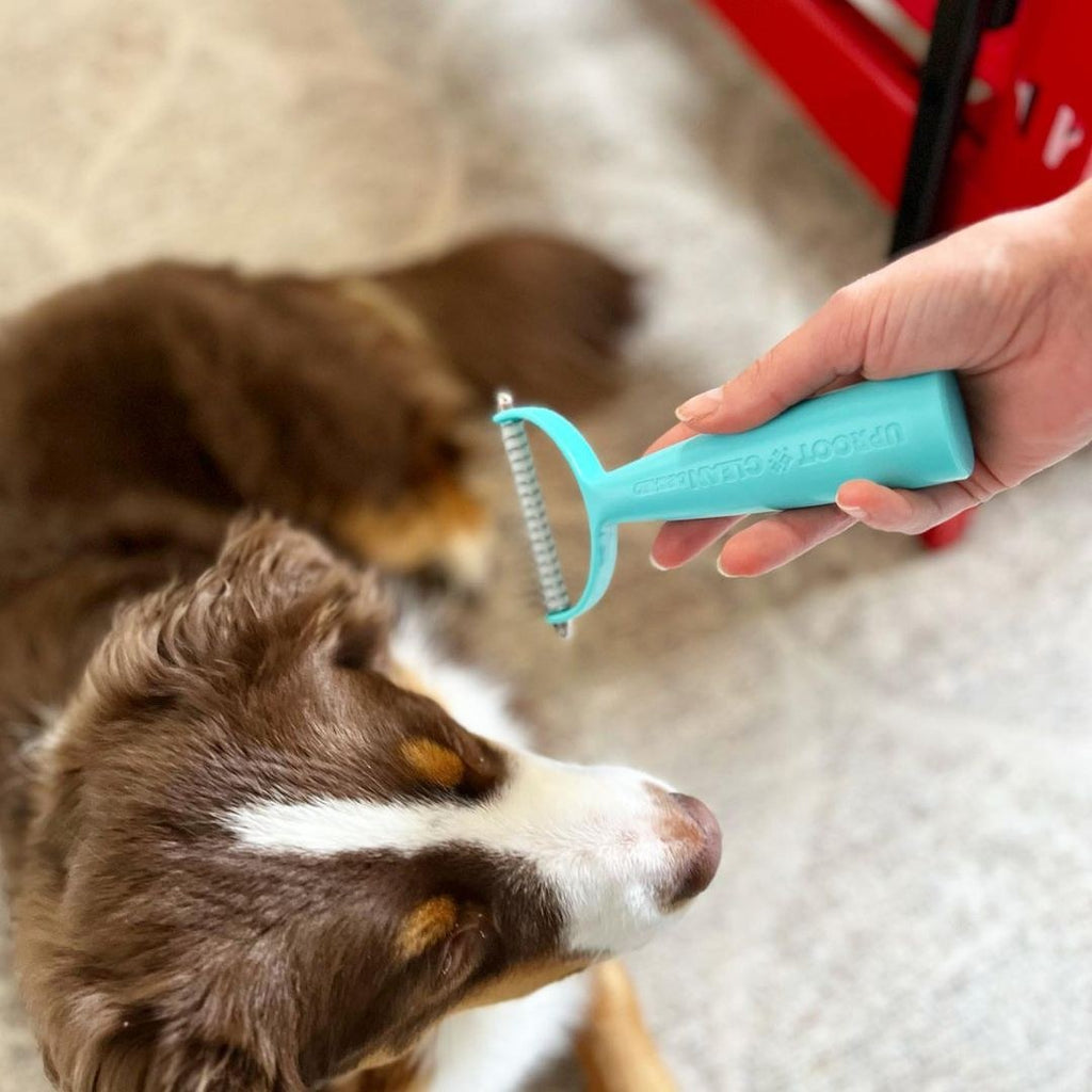 Deshedder brush used on a pet or fabric
