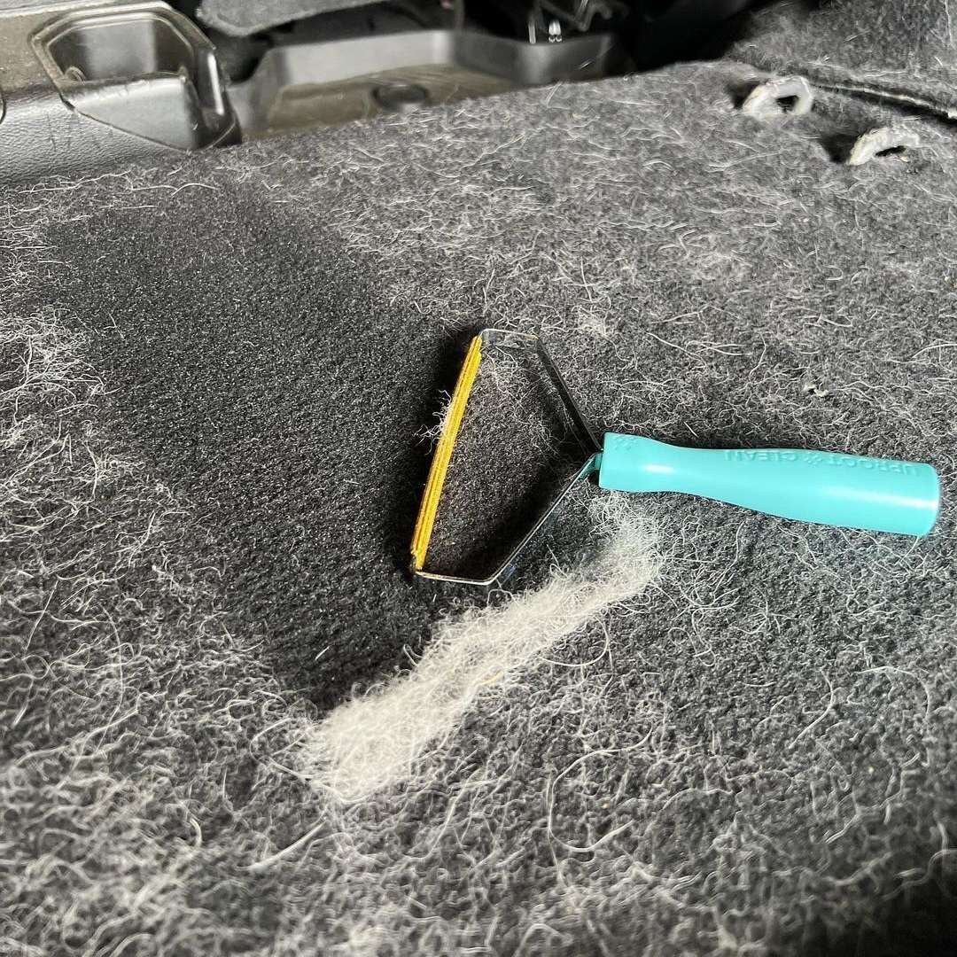 Lint tools used on carpet and a pet bed
