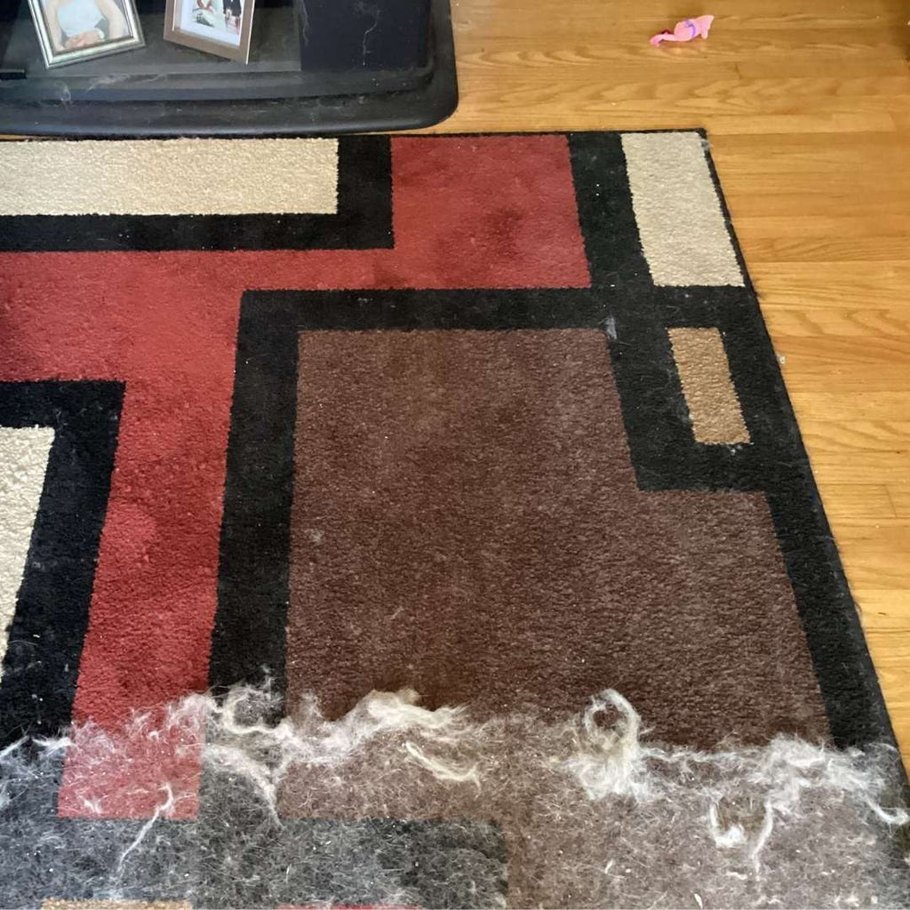 Lint tools used on carpet and a pet bed