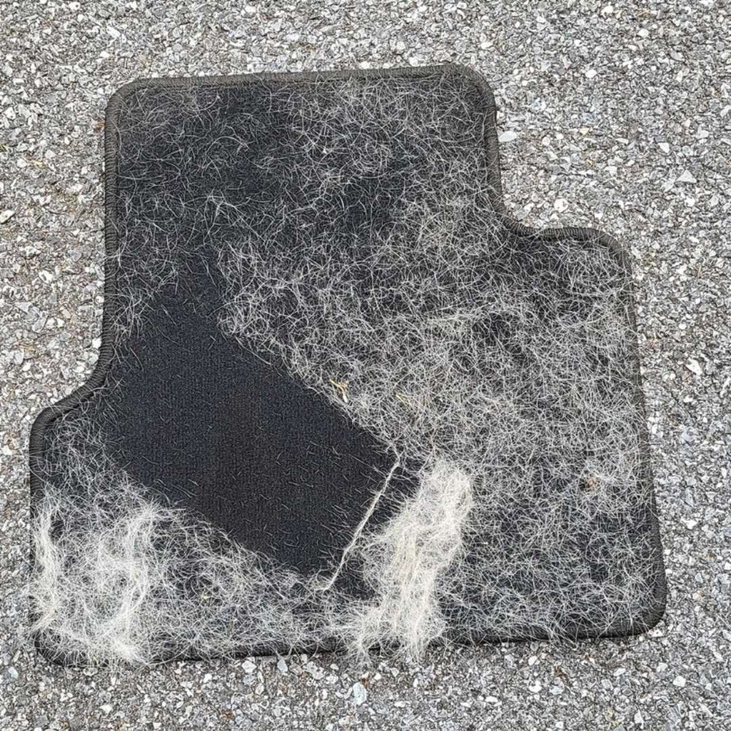 Lint tools used on carpet and a pet bed