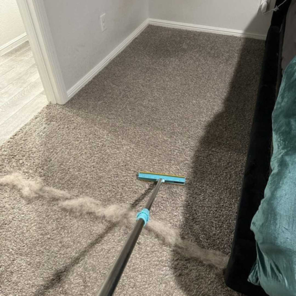 Wide lint tool on carpet with a line of pet hair