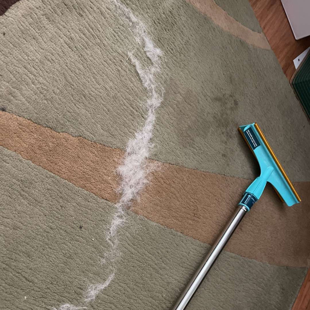 Wide lint tool on carpet with a line of pet hair