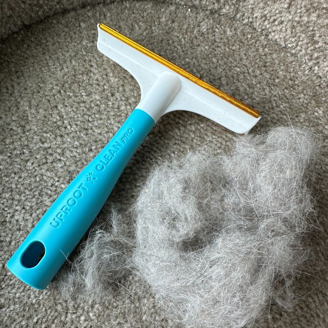 Lint tool lifting pet hair from fabric