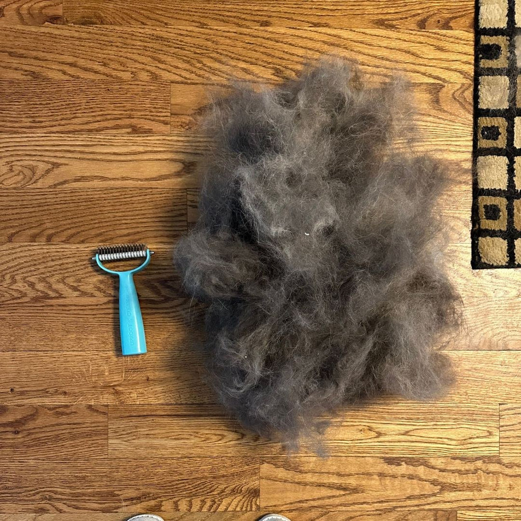Deshedder brush and collected loose coat