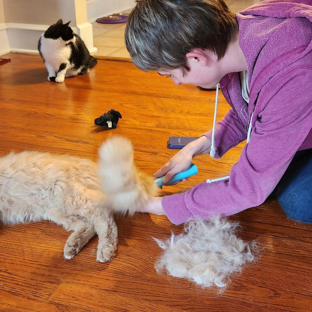 Deshedder brush and collected loose coat