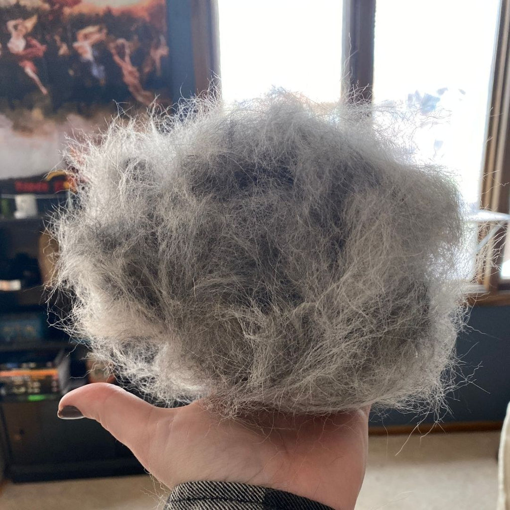 Deshedder brush and collected loose coat
