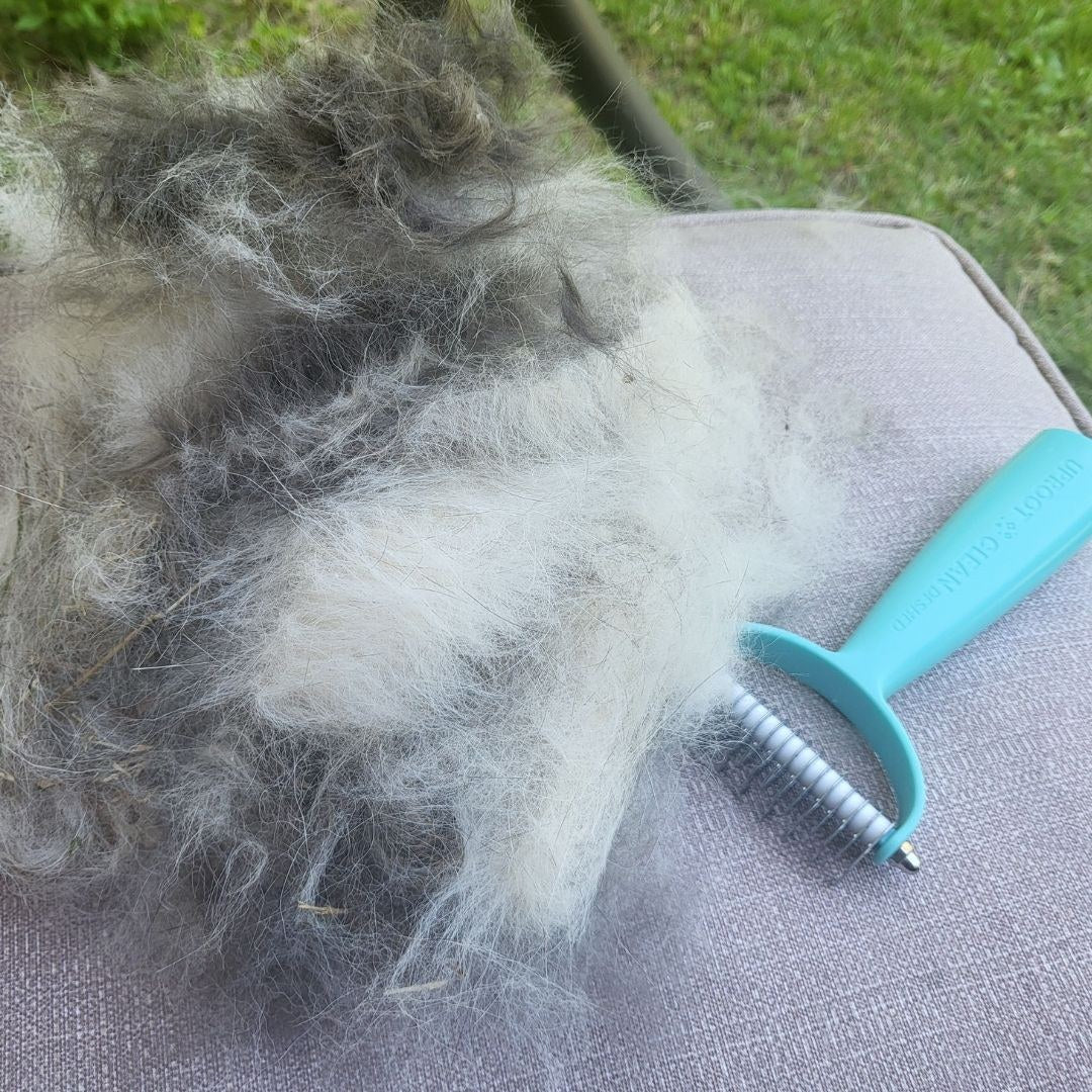 Deshedder brush and collected loose coat