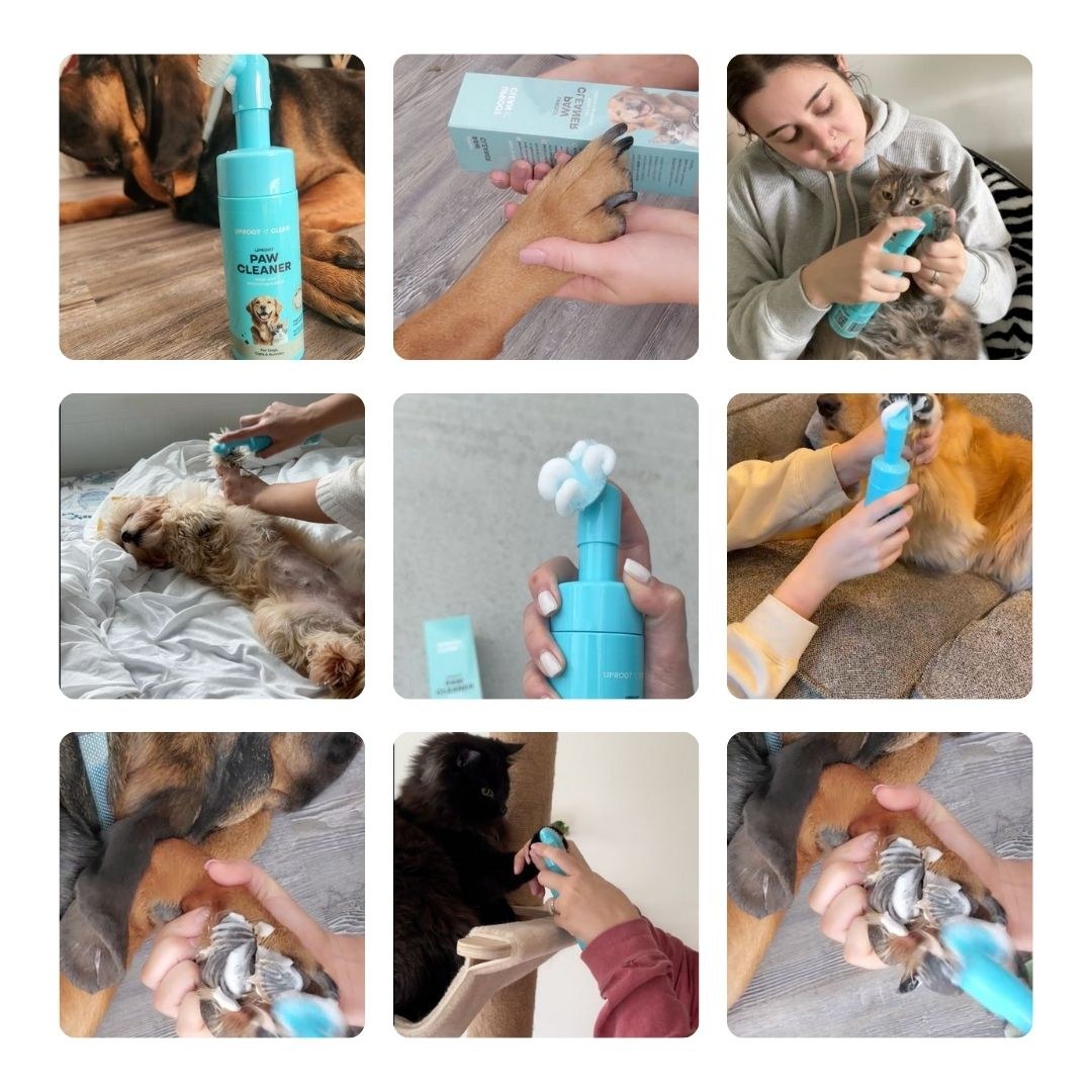 Pet wipe and foam care items in use