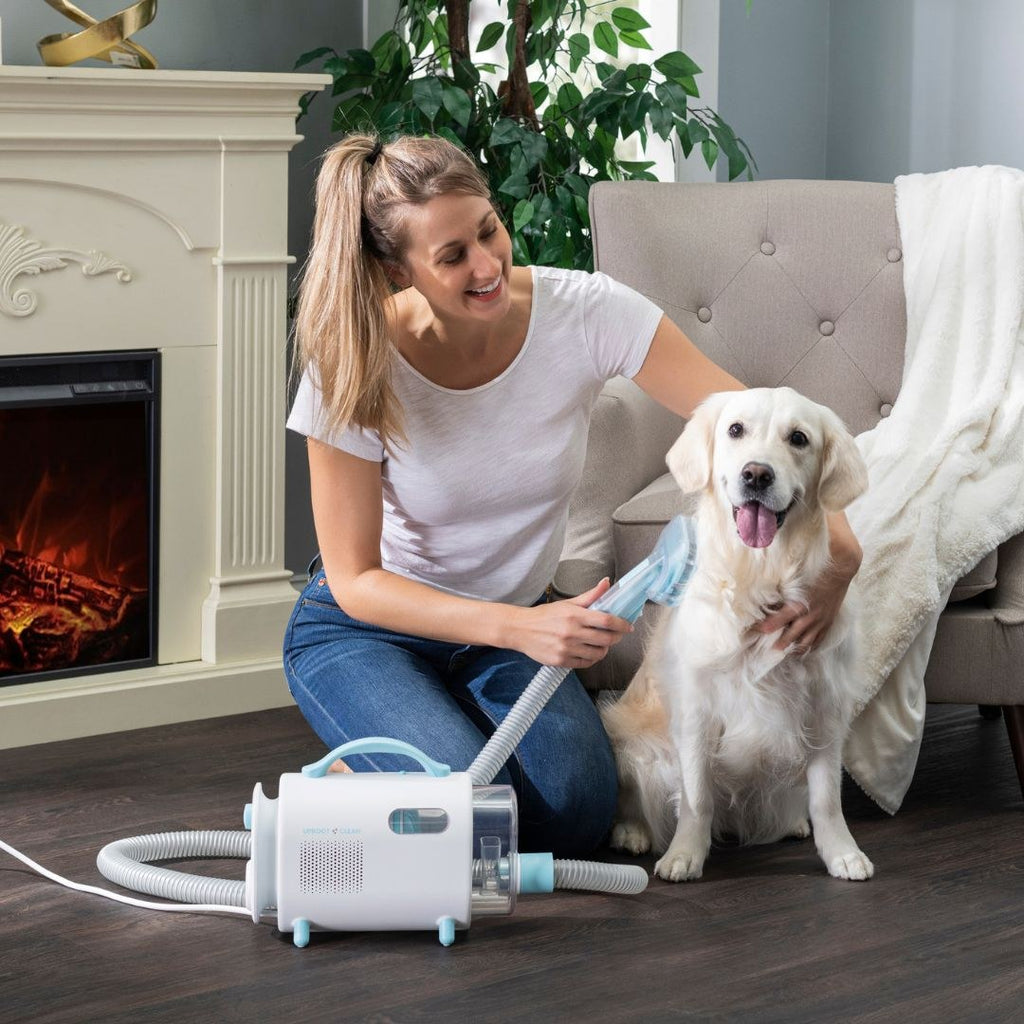 Home pet grooming kit in use