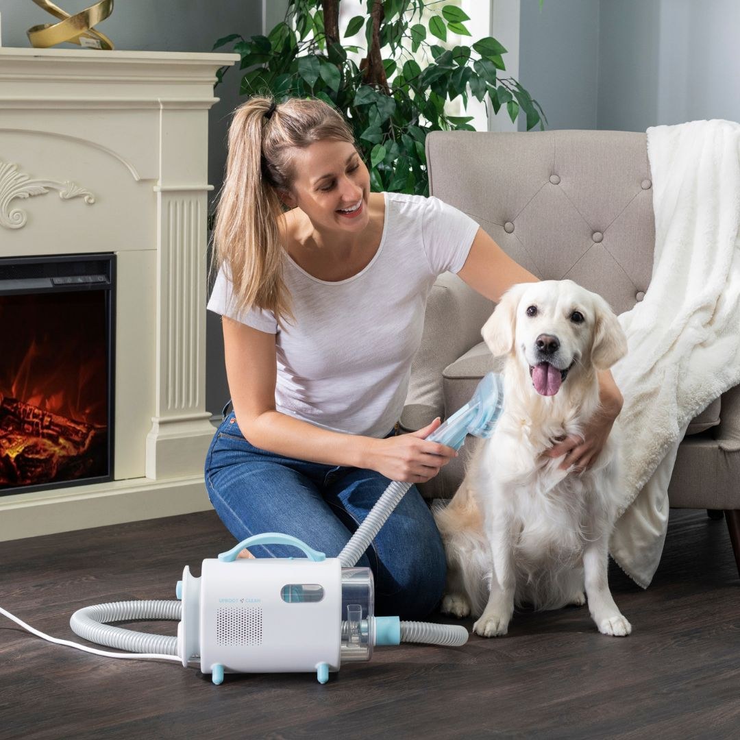 Home pet grooming kit in use