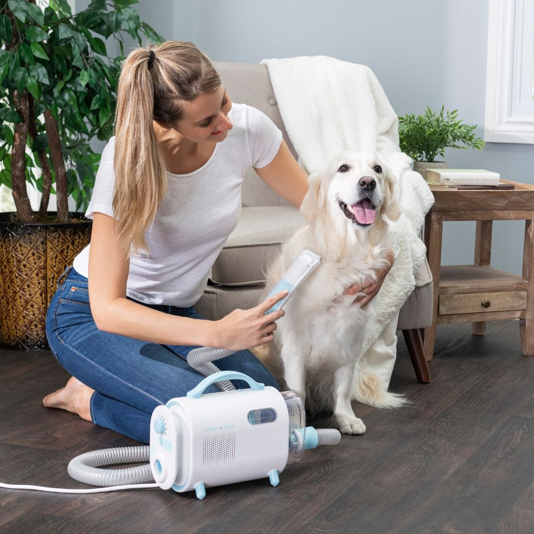 Home pet grooming kit in use