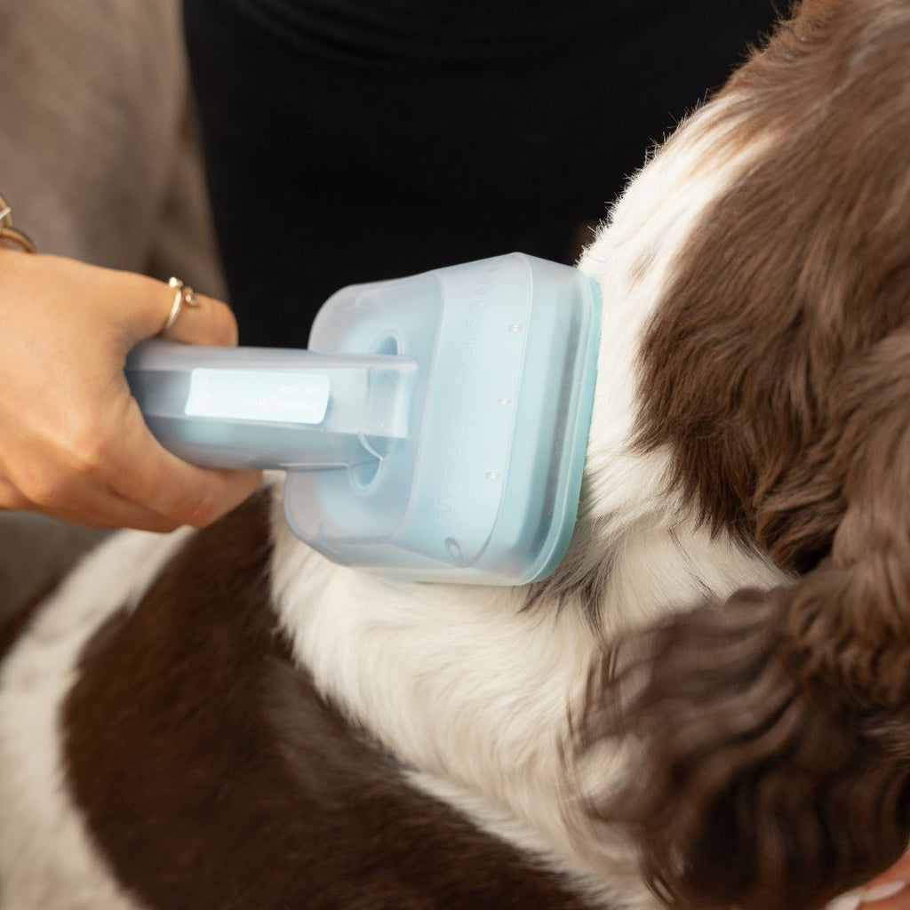 Home pet grooming kit in use
