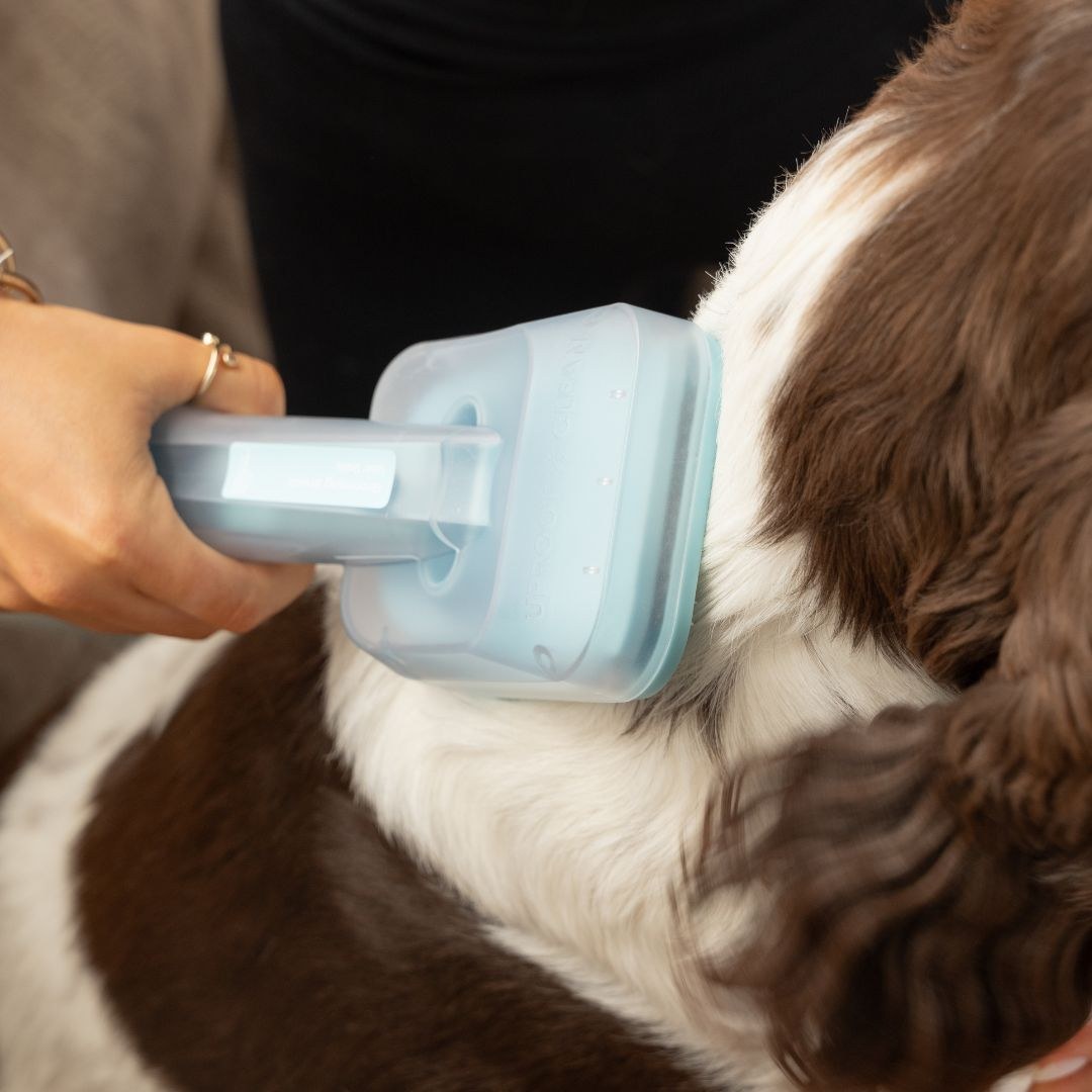 Home pet grooming kit in use