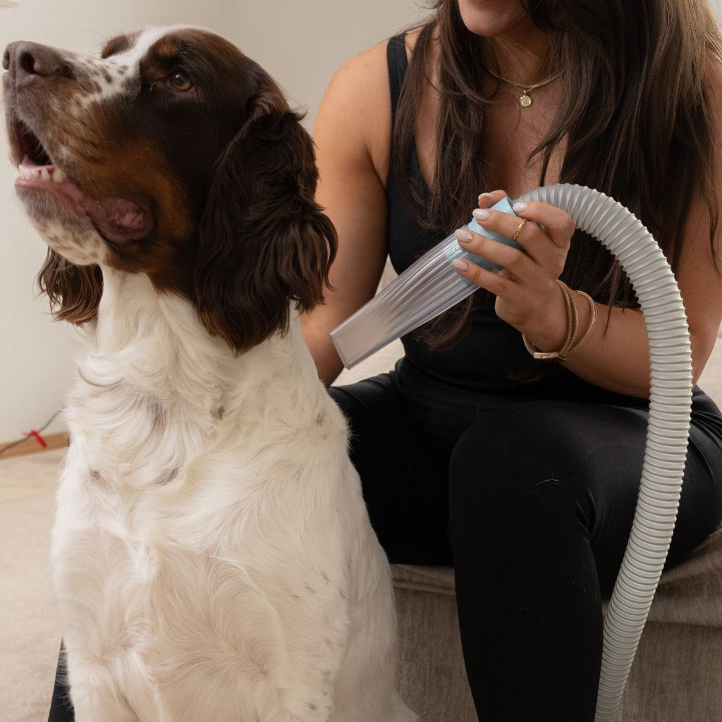 Home pet grooming kit in use
